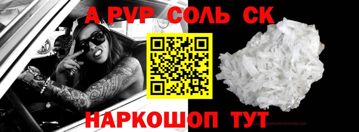 A PVP СК КРИС Советск