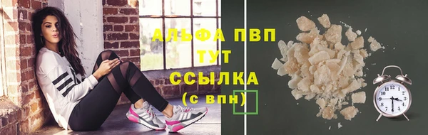 гашик Зерноград