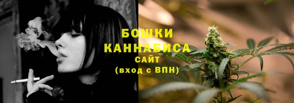 шишки Зеленодольск