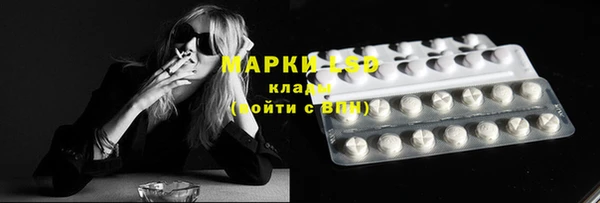 гашик Зерноград
