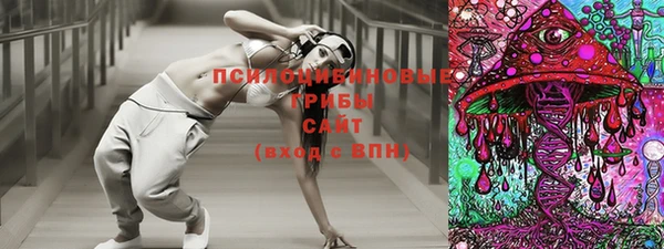 шишки Зеленодольск