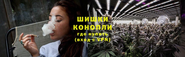 гашик Зерноград