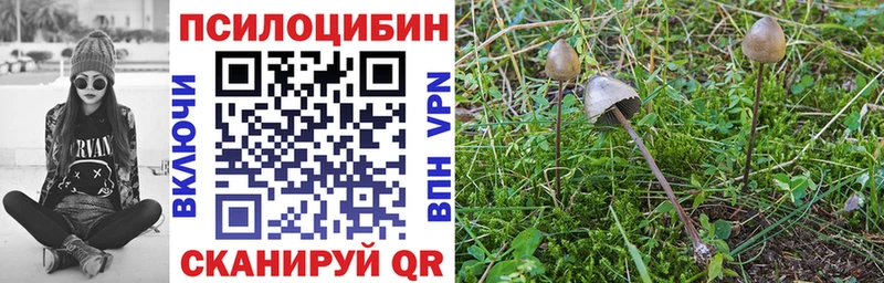 Псилоцибиновые грибы Magic Shrooms  Советск 
